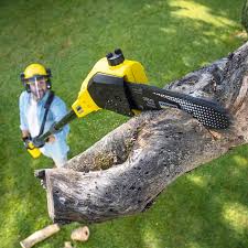 Best Lawn Mowing  in Alhambra, CA